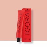 Tinte Igora Royal - Schwarzkopf